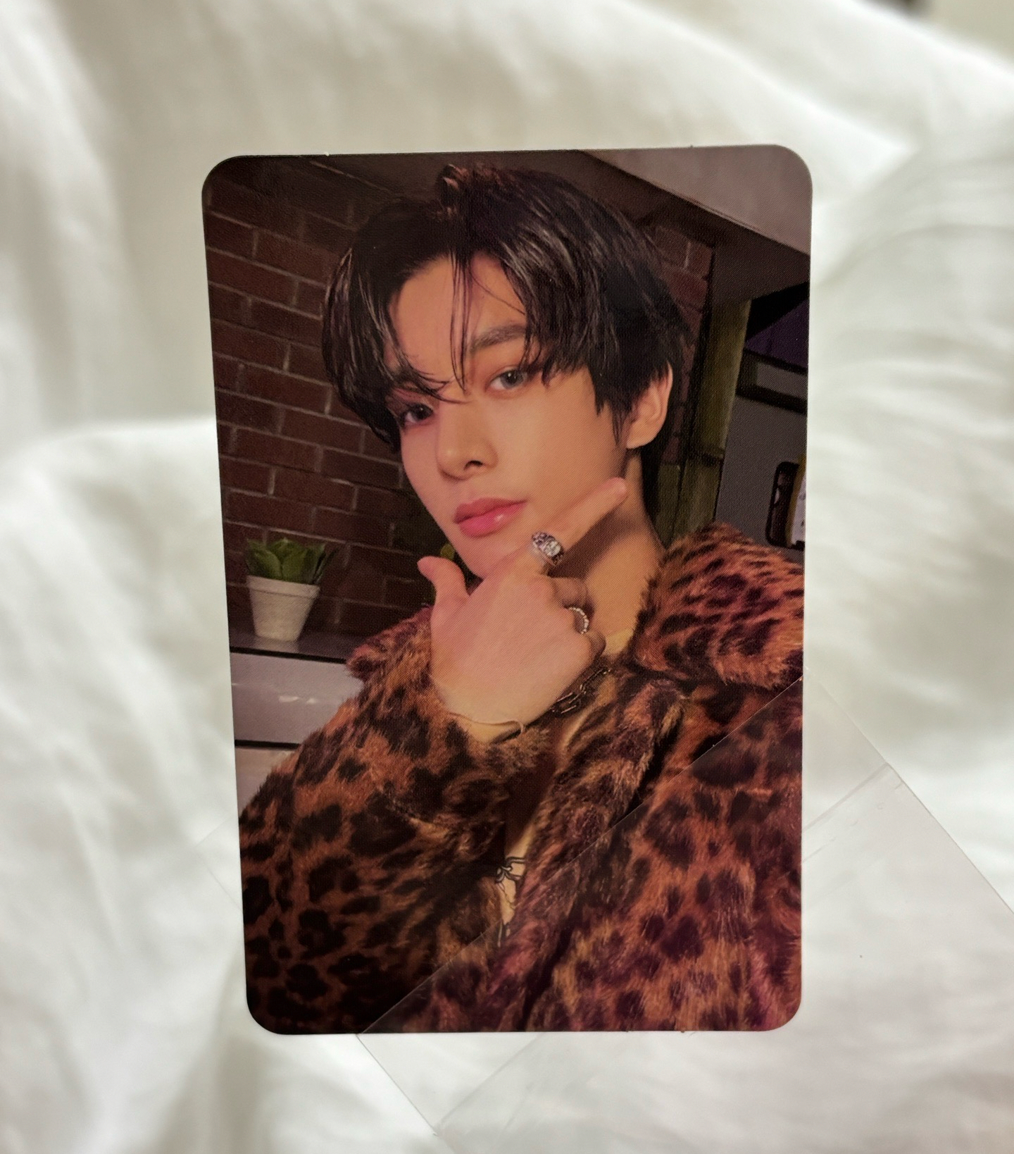 ENHYPEN JAKE 迷五kmstore特典