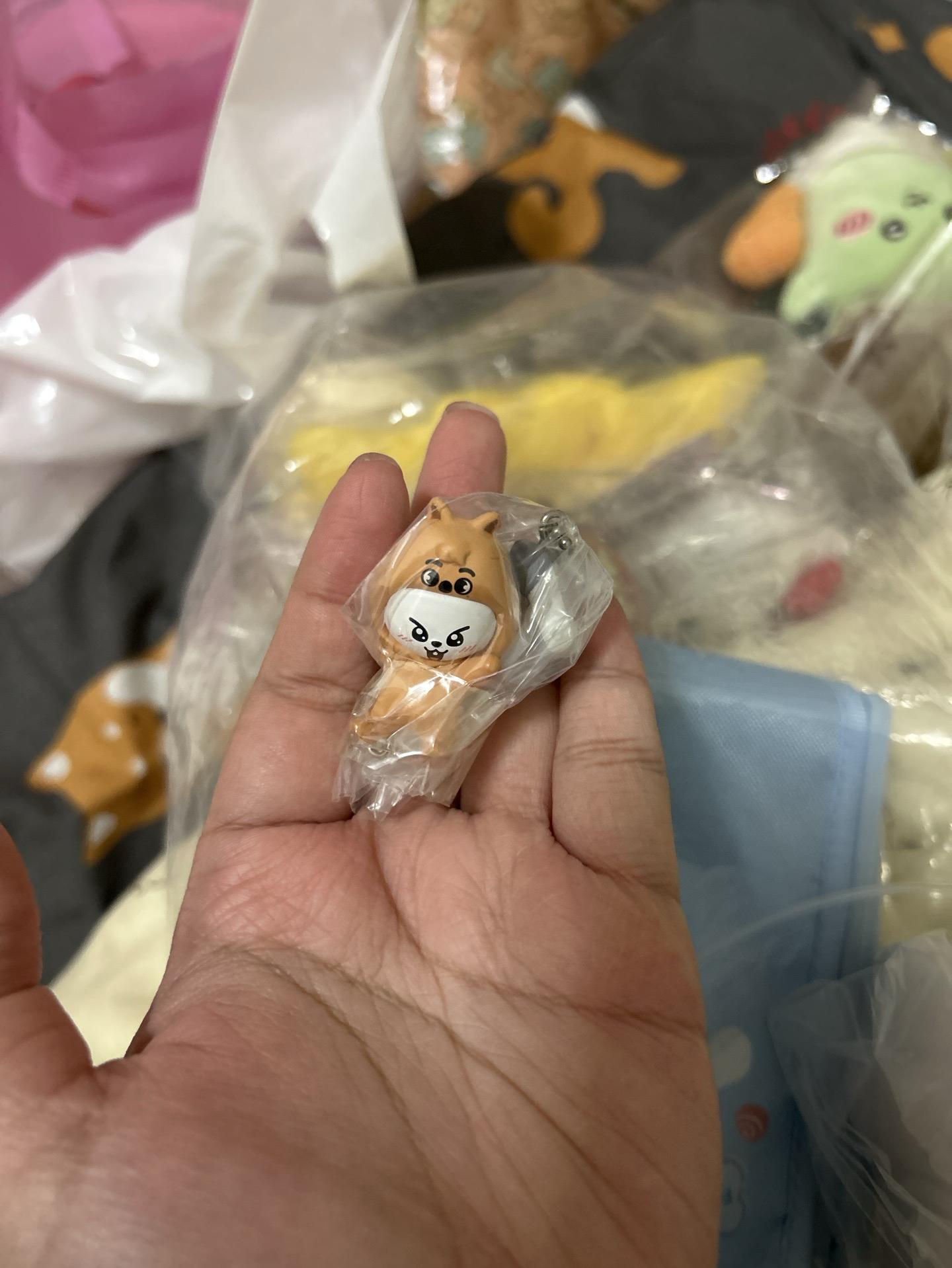 李畢闊卡皮