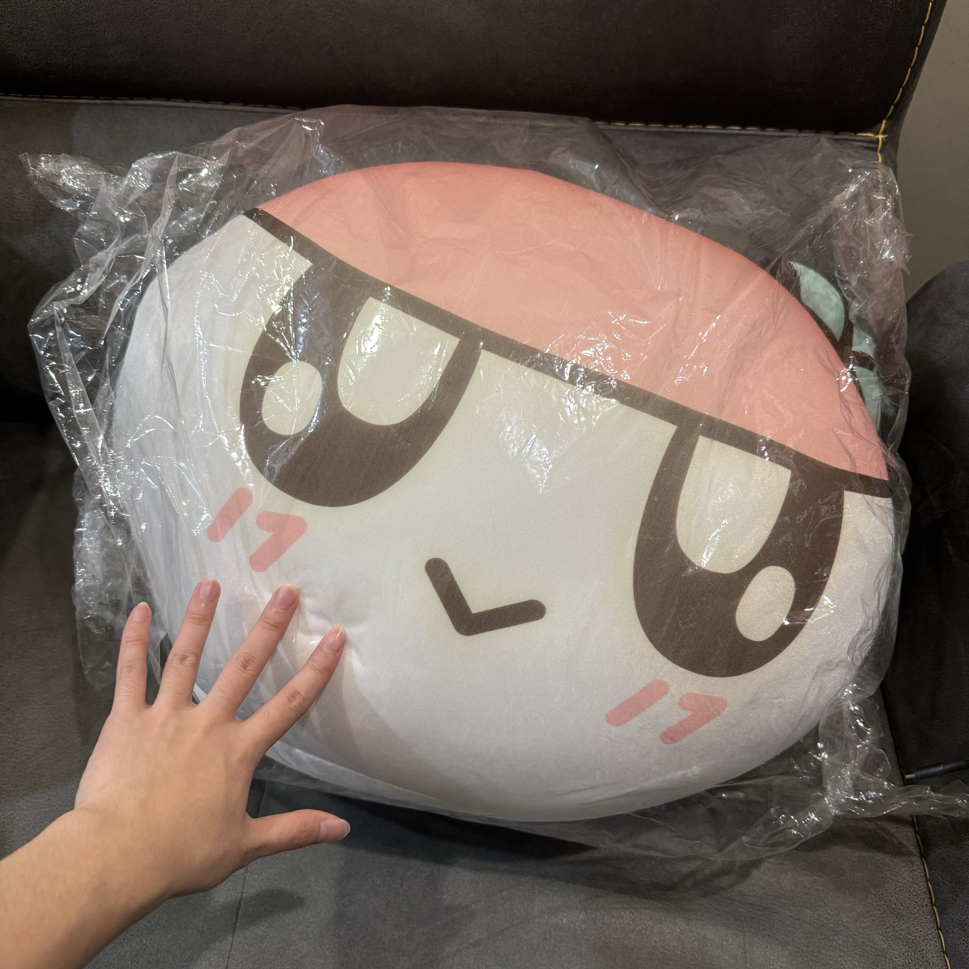 特大 蹦蹦抱枕 日本會員限定周邊