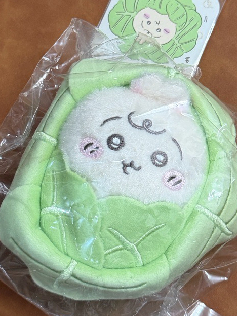 高麗菜寶寶