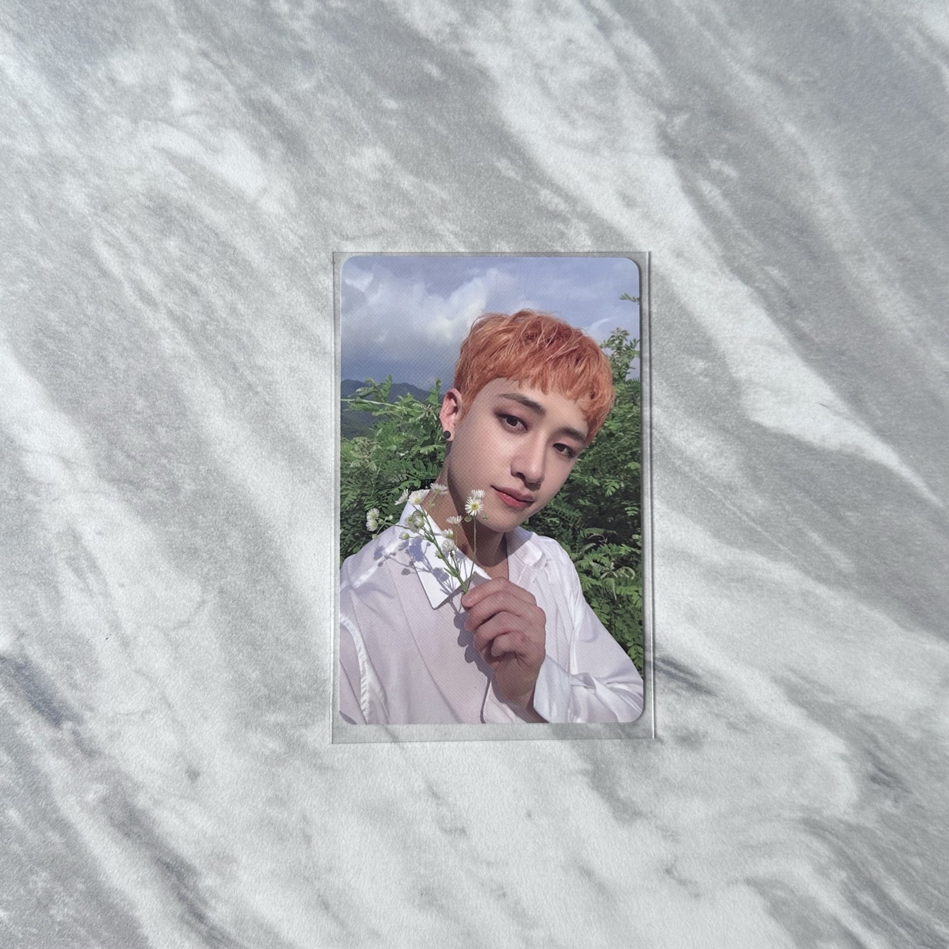 NOEASY 專輯卡 Limited