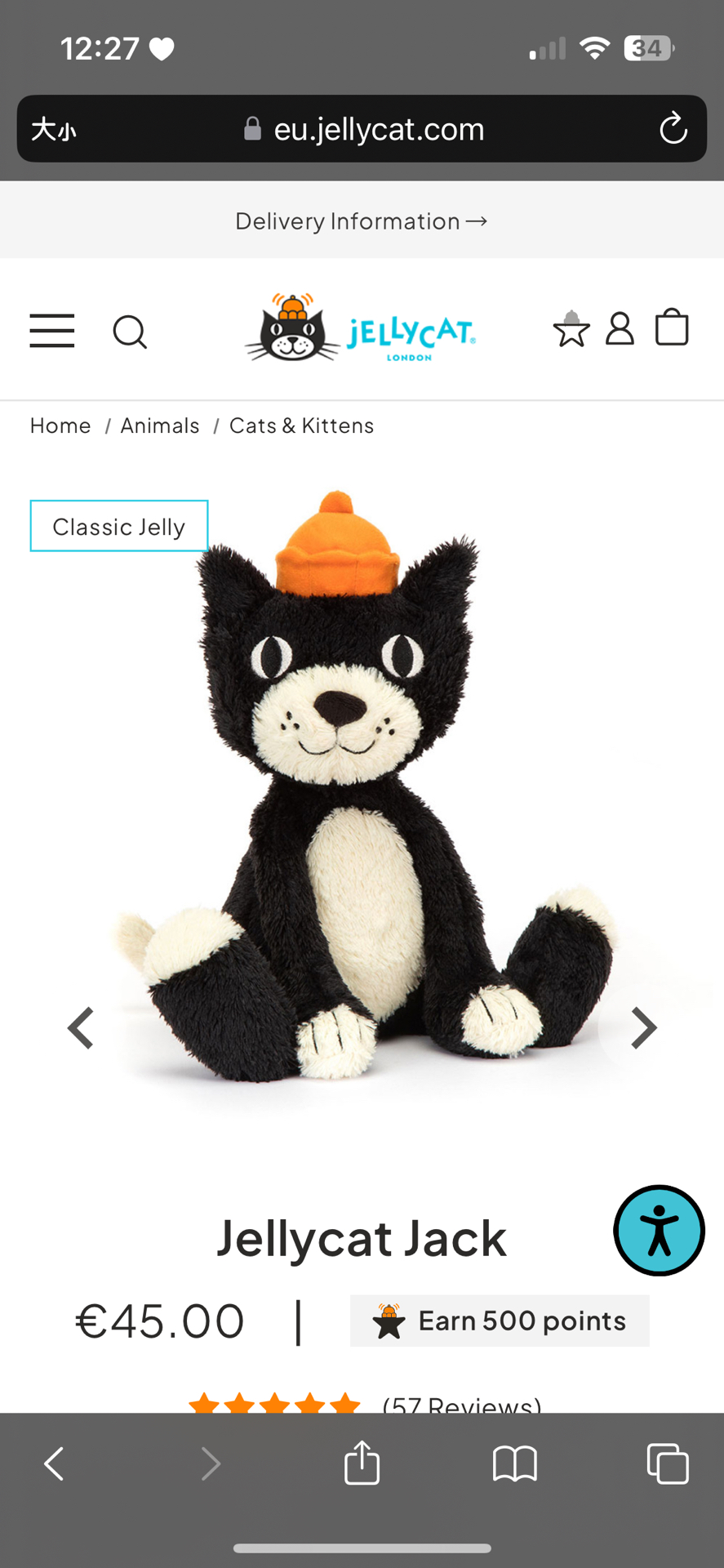 🤍預購 捷克果凍貓