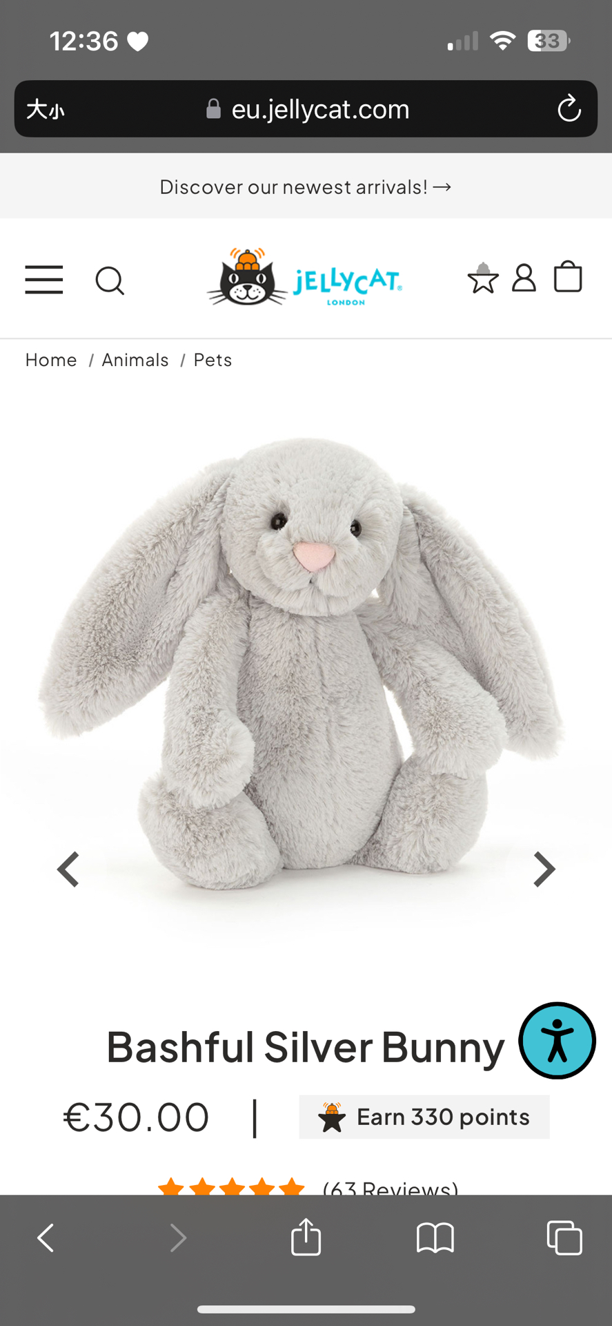 🤍預購 銀色兔兔