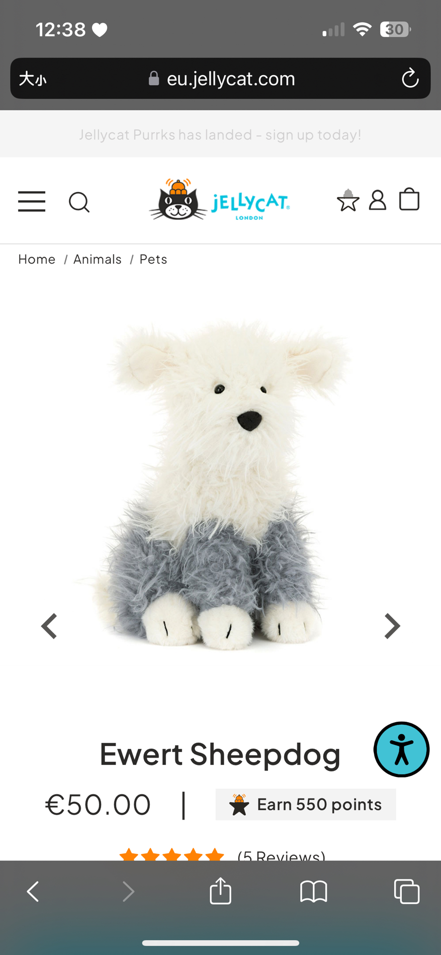 🤍預購 牧羊犬