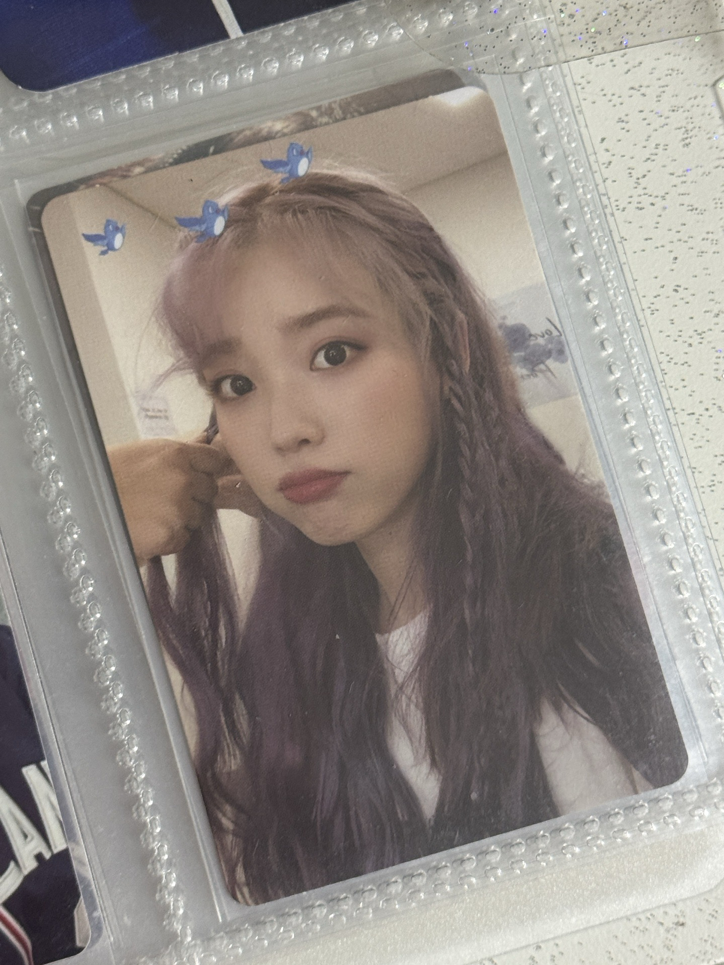 19演唱會DVD小卡