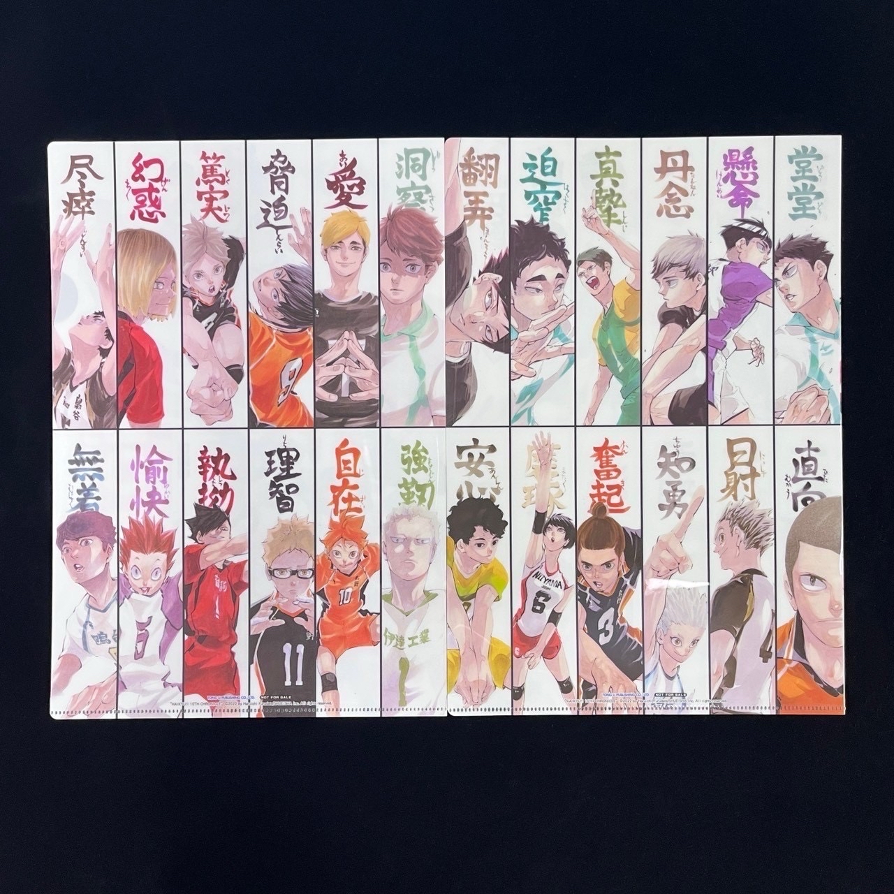 🏐 排球少年！！10週年編年史 全 (首刷限定版)