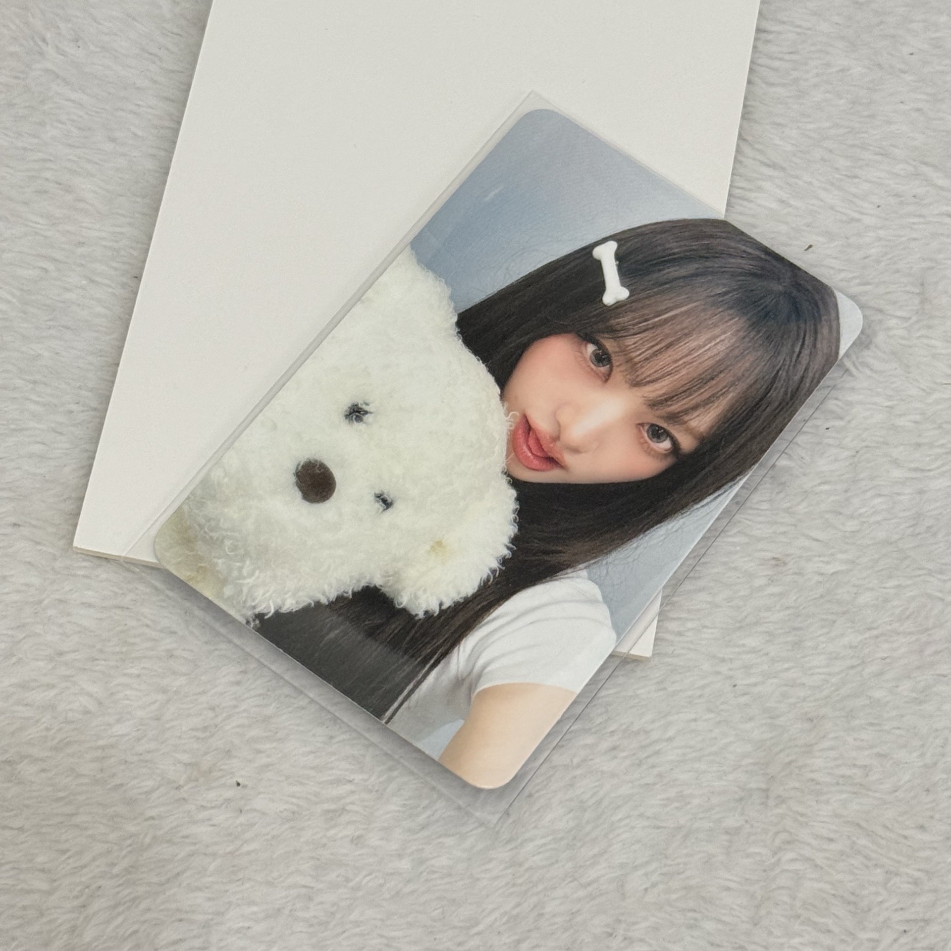 hl簽售卡Liz🌰 狗狗栗