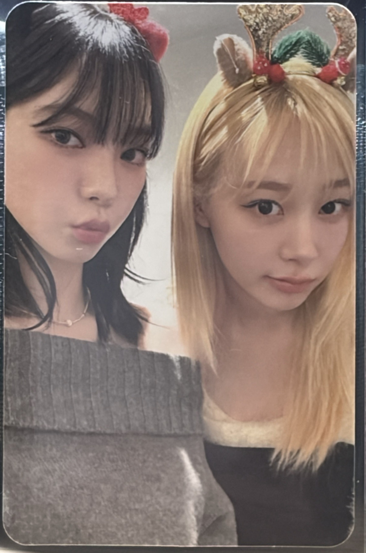 聖誕柚吉雙人卡