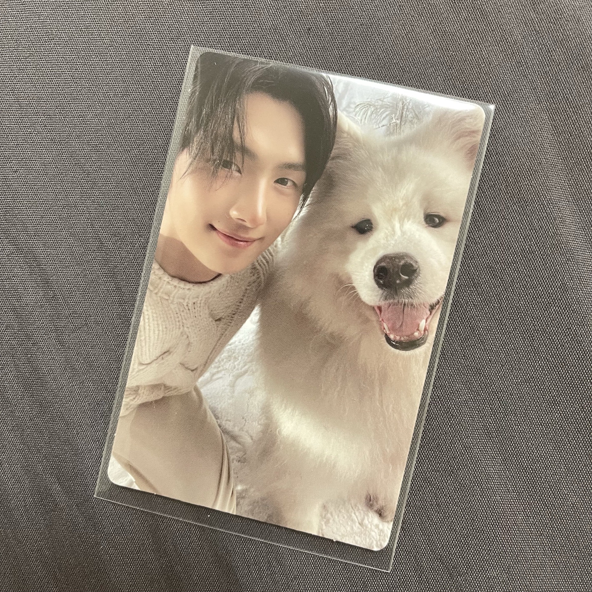 last bell 專卡 英宰