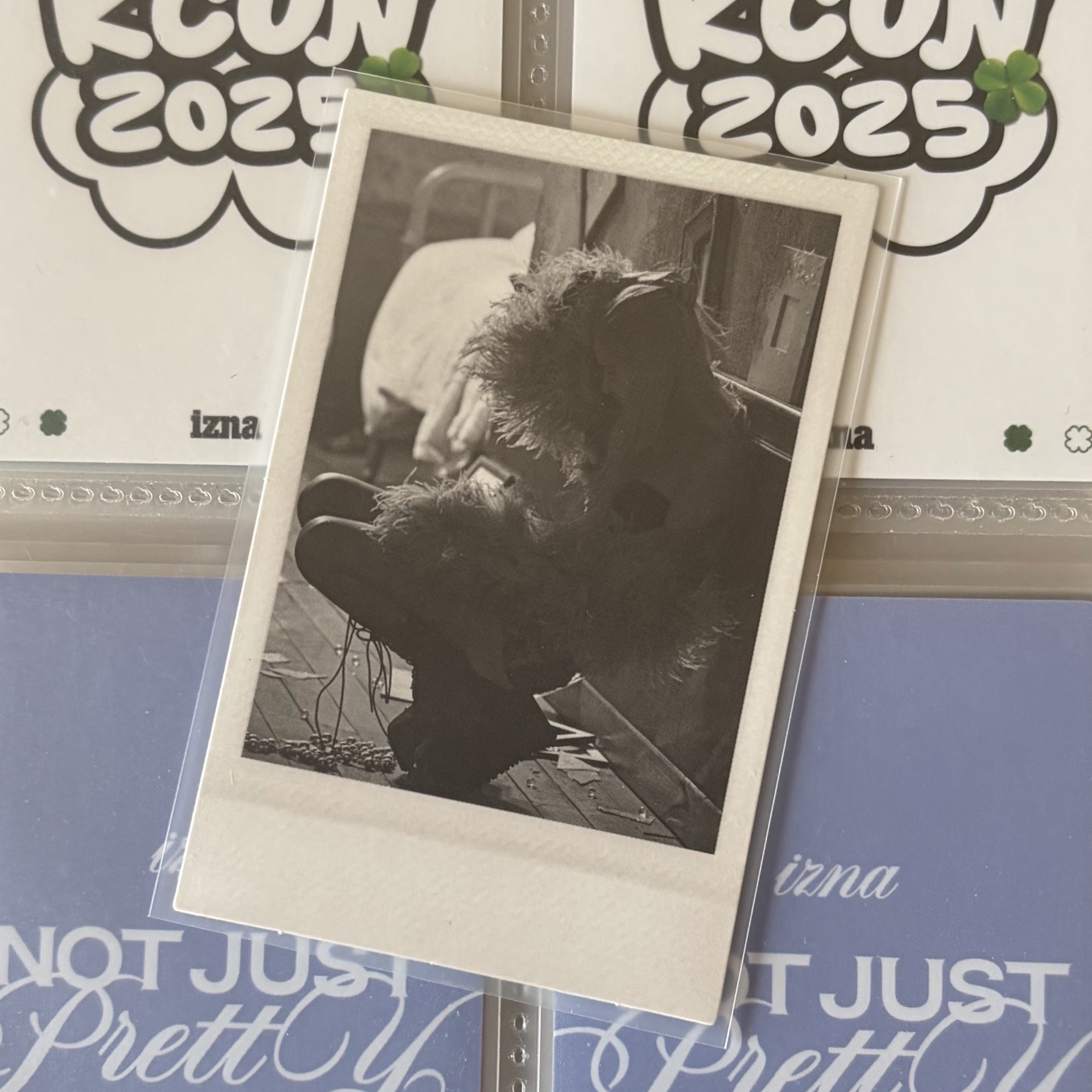 ⚪️ROLO 拍立得 