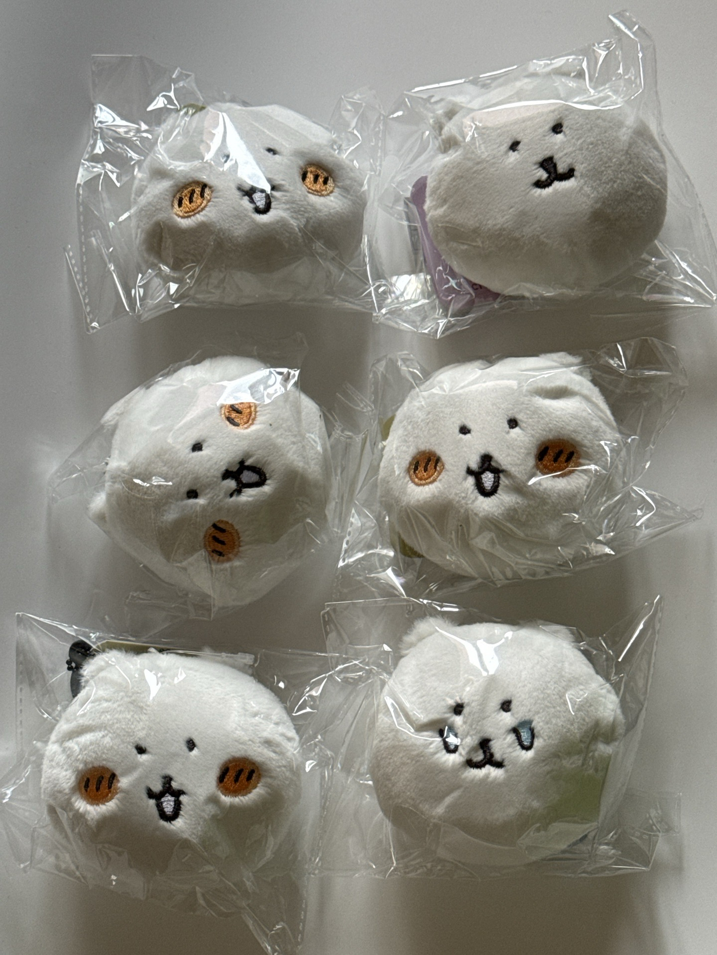 超chill白熊A賞 含6E賞