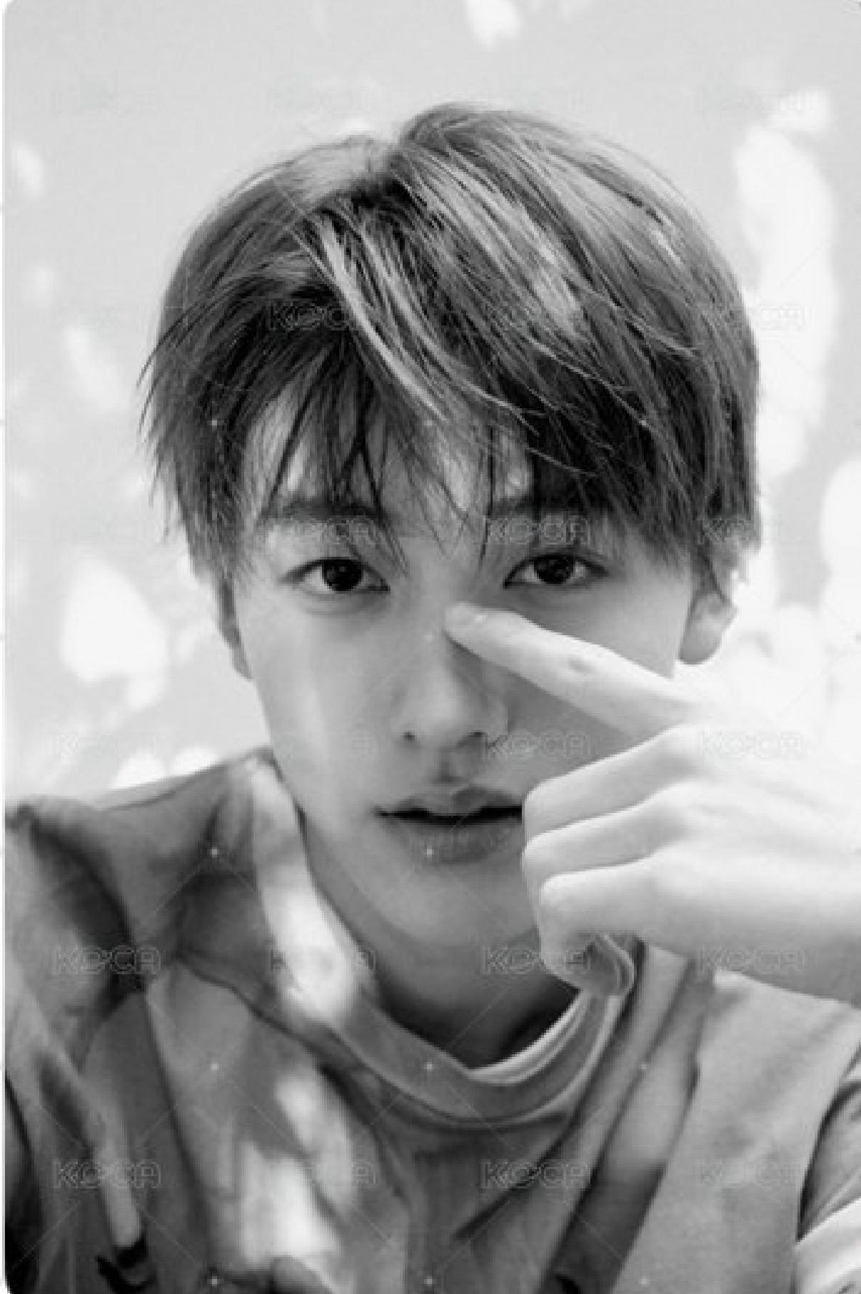 現貨 Cortis 兩張不拆