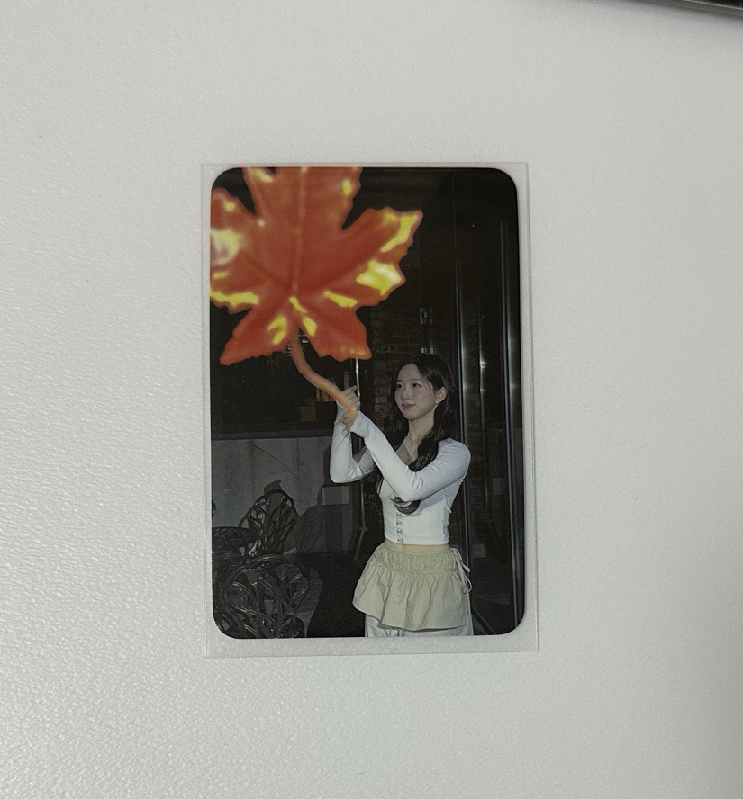 MMT楓葉