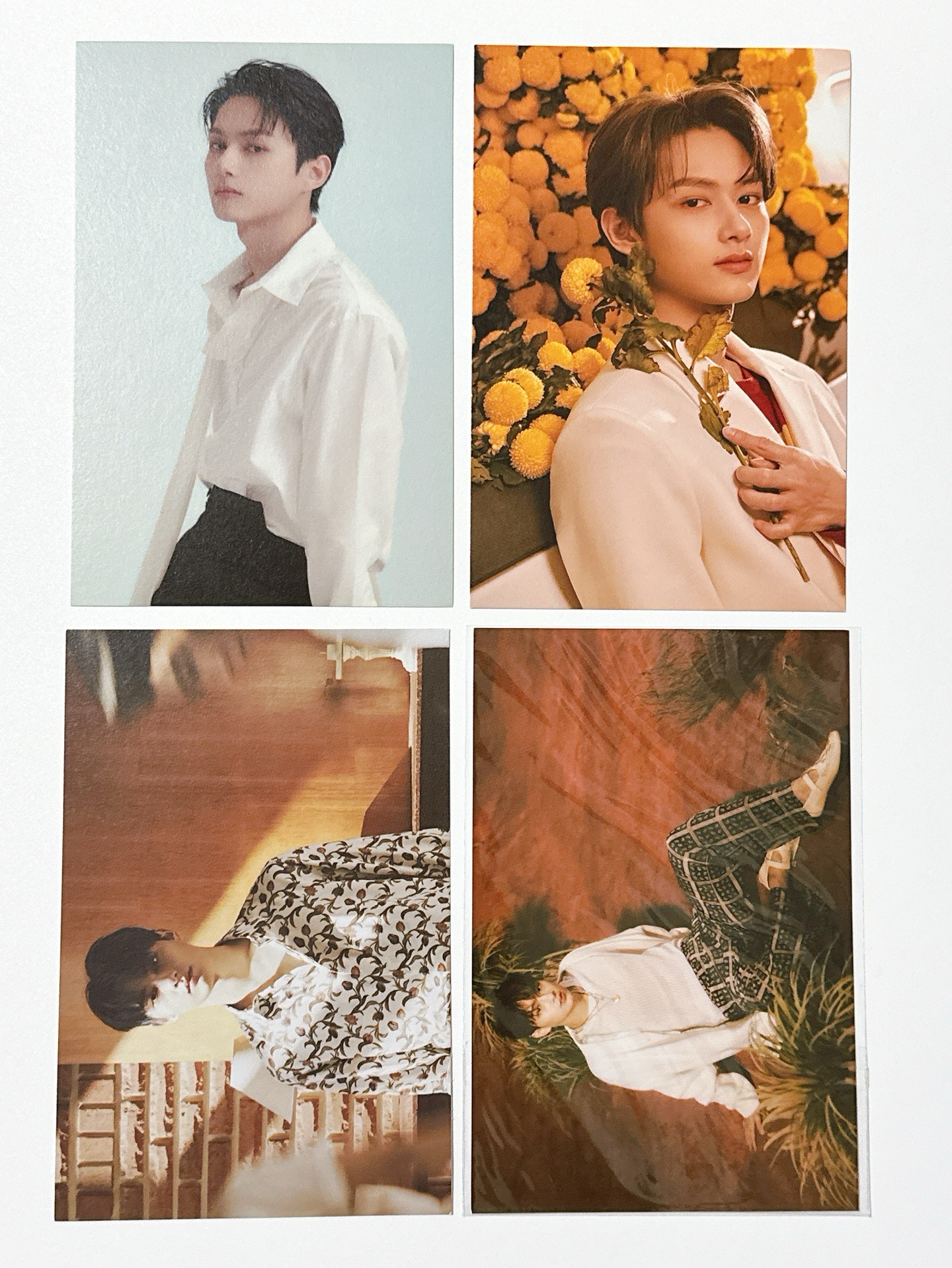 【俊】明信片組+不規則卡類