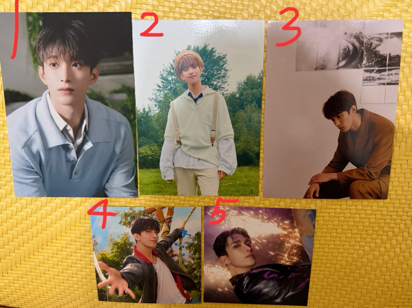 碩 明信片 生寫 貼紙