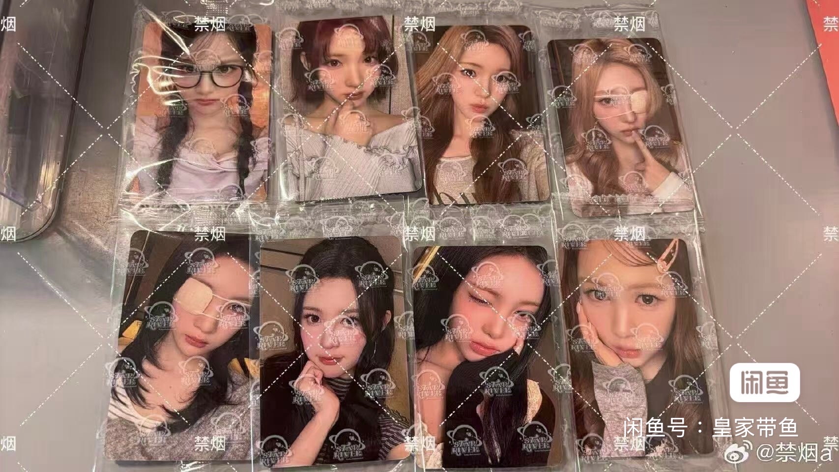 Focus sr 上海線下4.0 抽選卡 B ver.