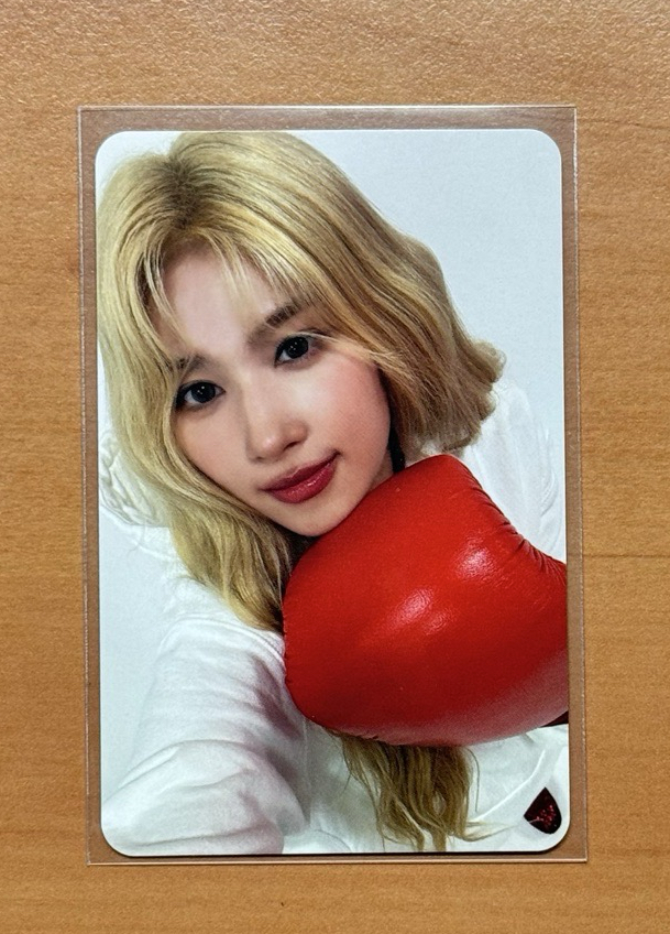 紅心🐹