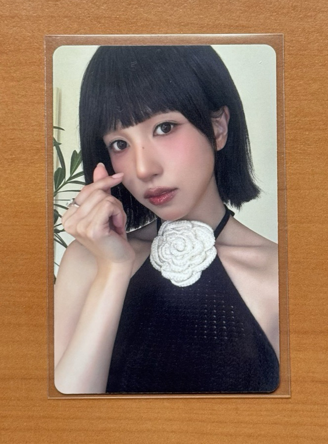 短髮🐧