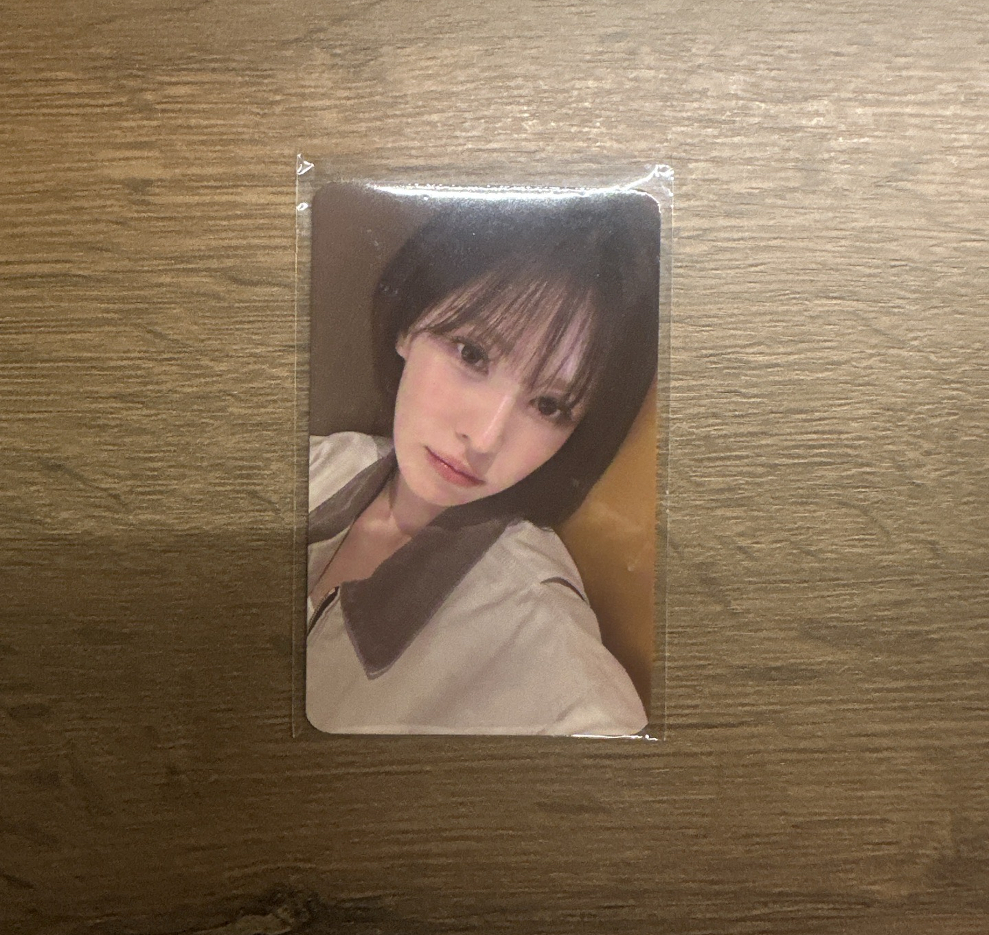 Wendy 櫻花季小卡