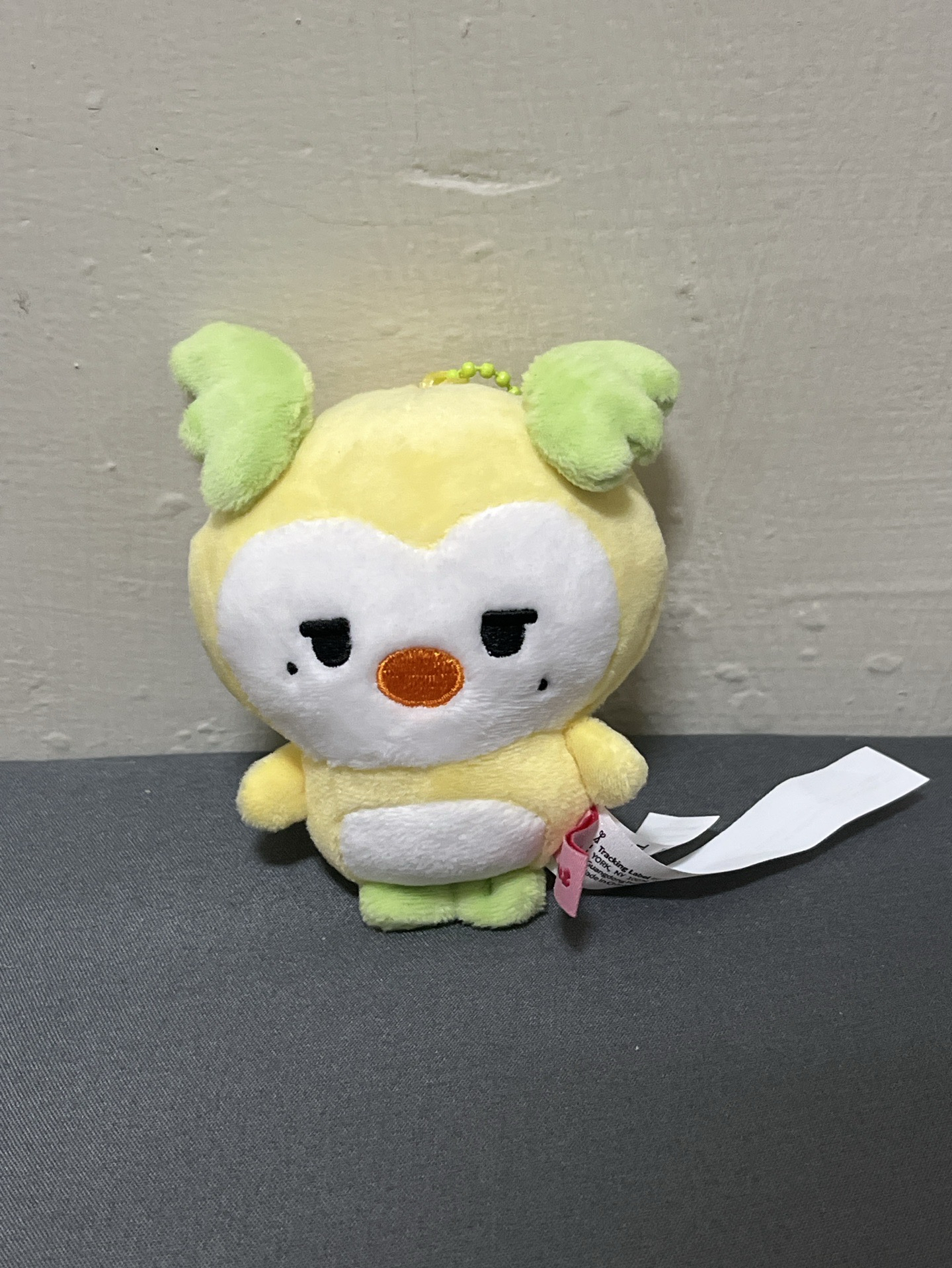 🖤MIGHTEEZ 吊娃 MINI PLUSH KEYRING 宋旼琦