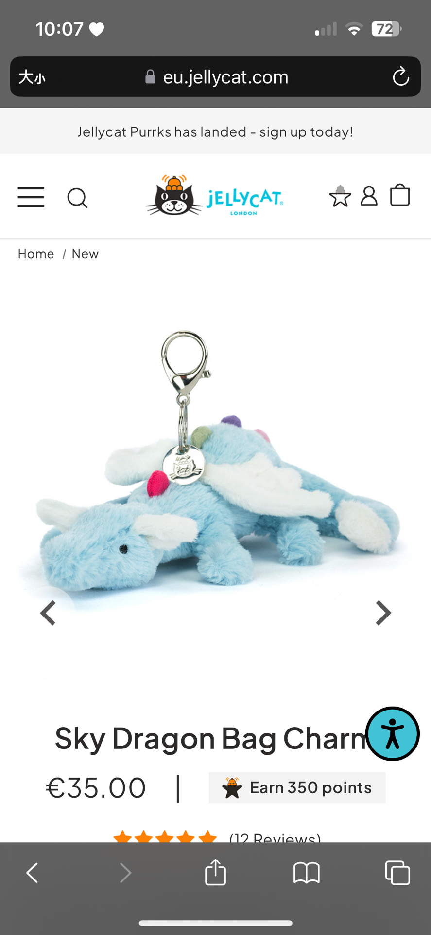 🤍現貨3 天空龍吊飾