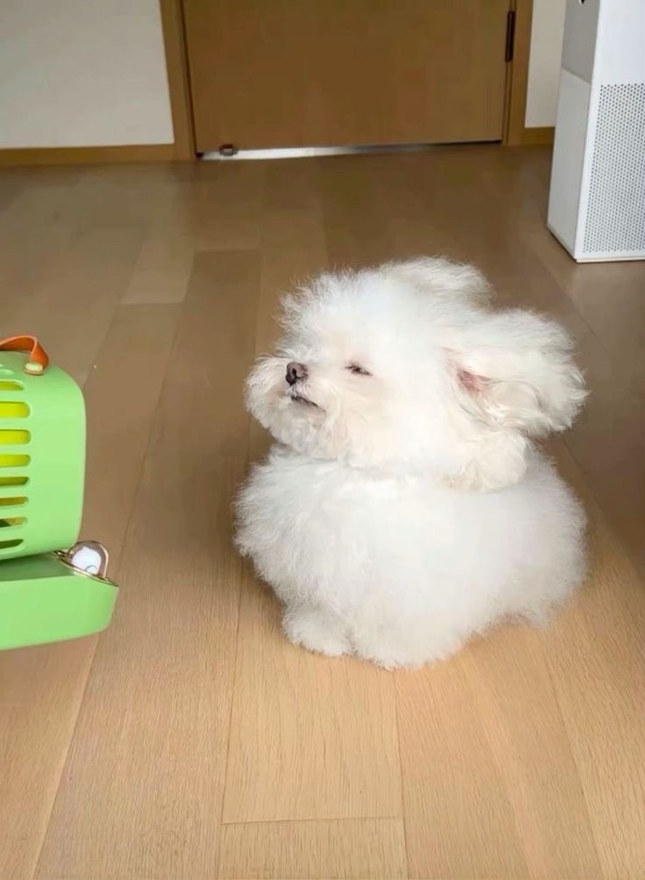 舒