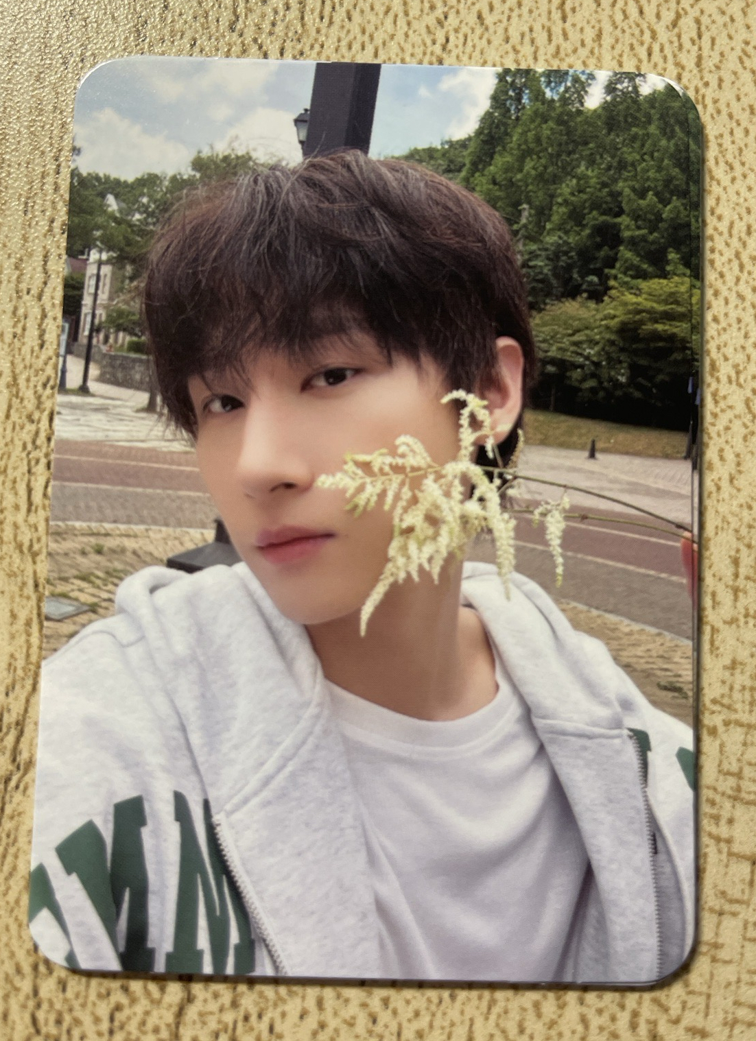 THE X XX版🐈‍⬛專卡 