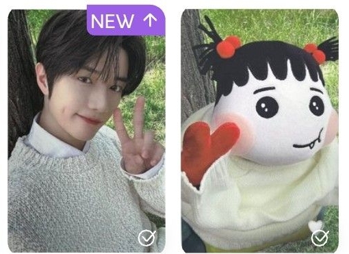 TXT 崔杋圭 姜太顯 25'巡 台北大巨蛋MOA粽 角巴