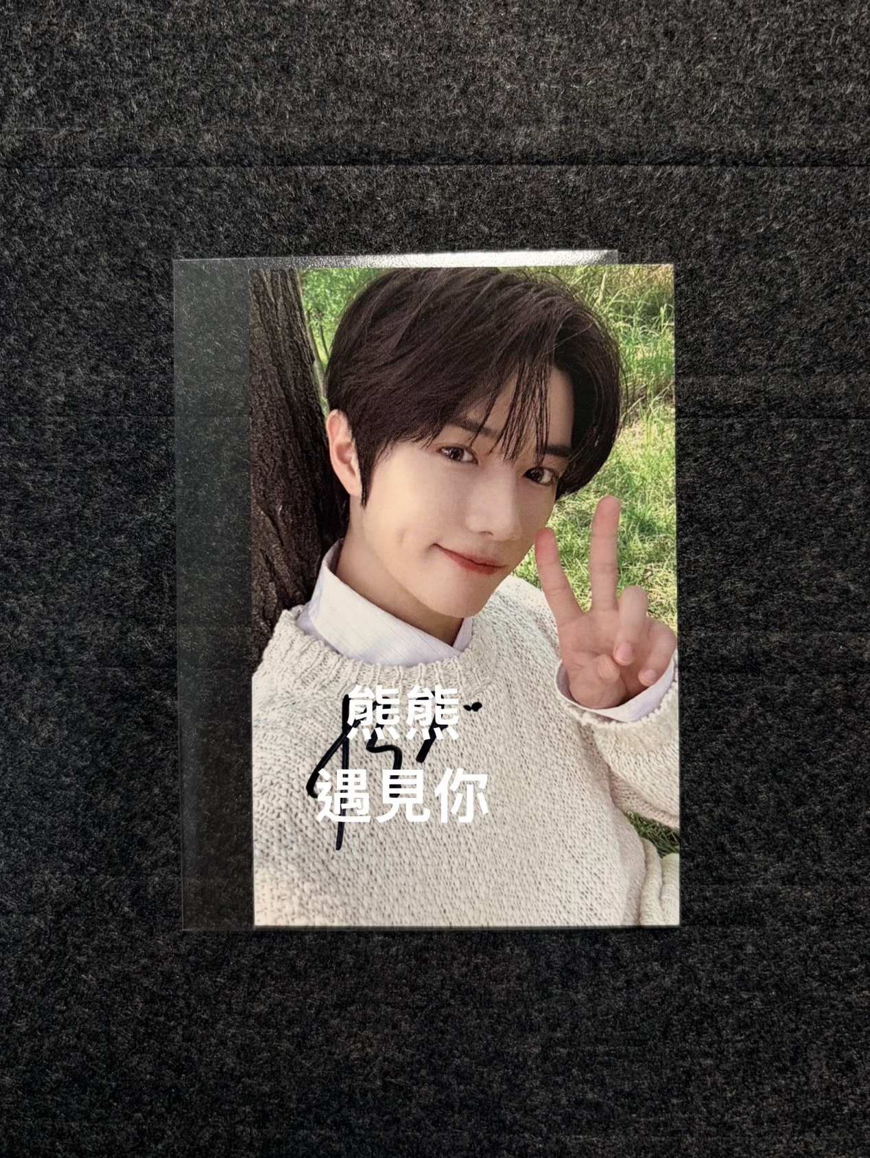 崔杋圭 四巡ZONE MG親簽