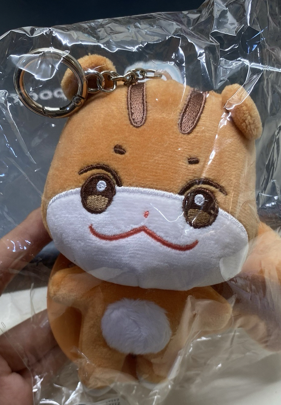 原皮全新未拆中拉米.ᐟ.ᐟ🐿️