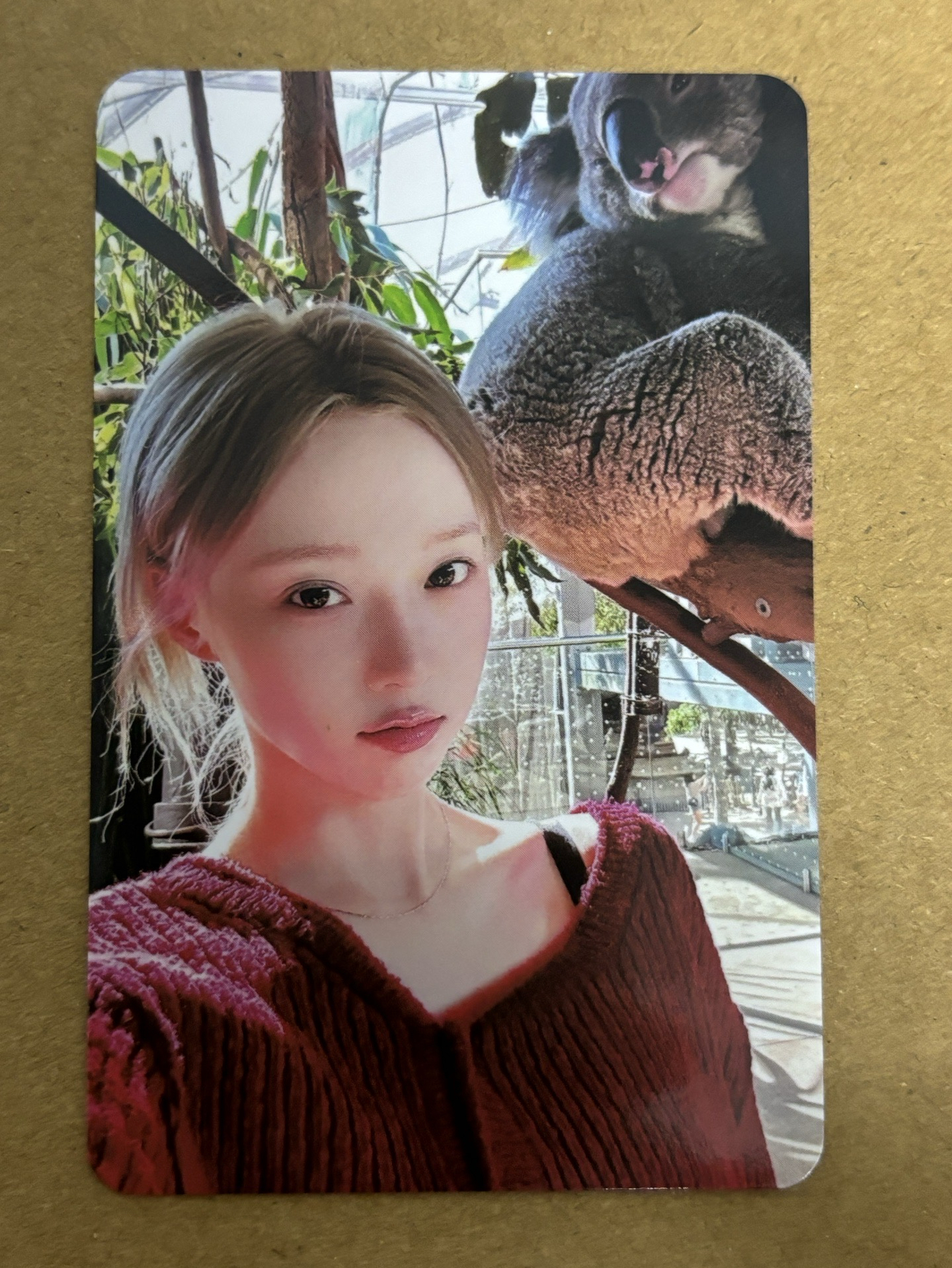 aespa Winter 冬天 Whiplash QQ音樂 星光卡 四星冬 冬-57