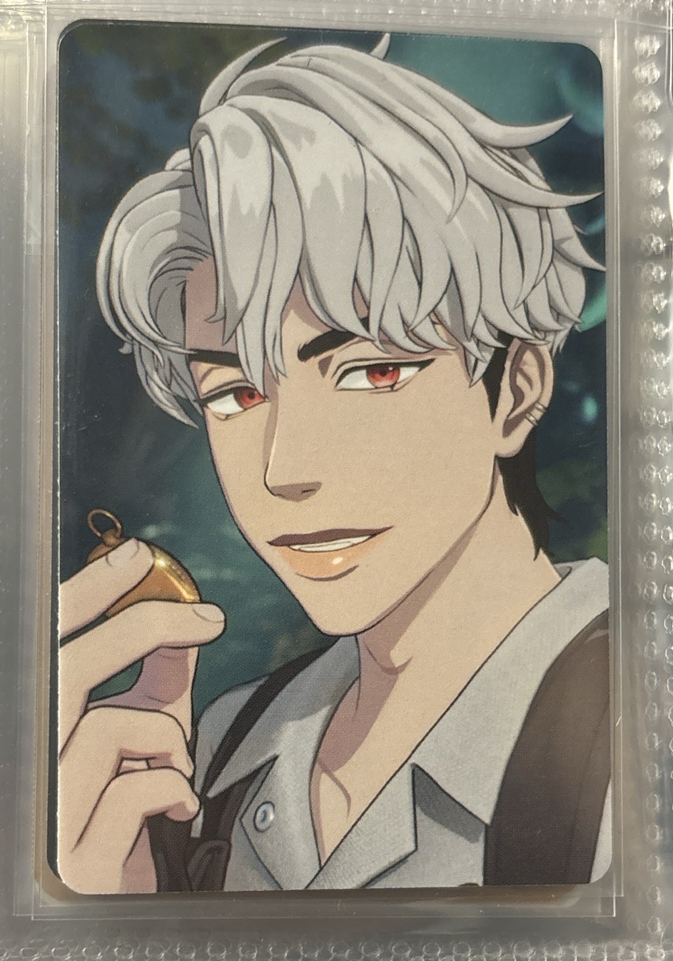 ❤️迷二銀虎