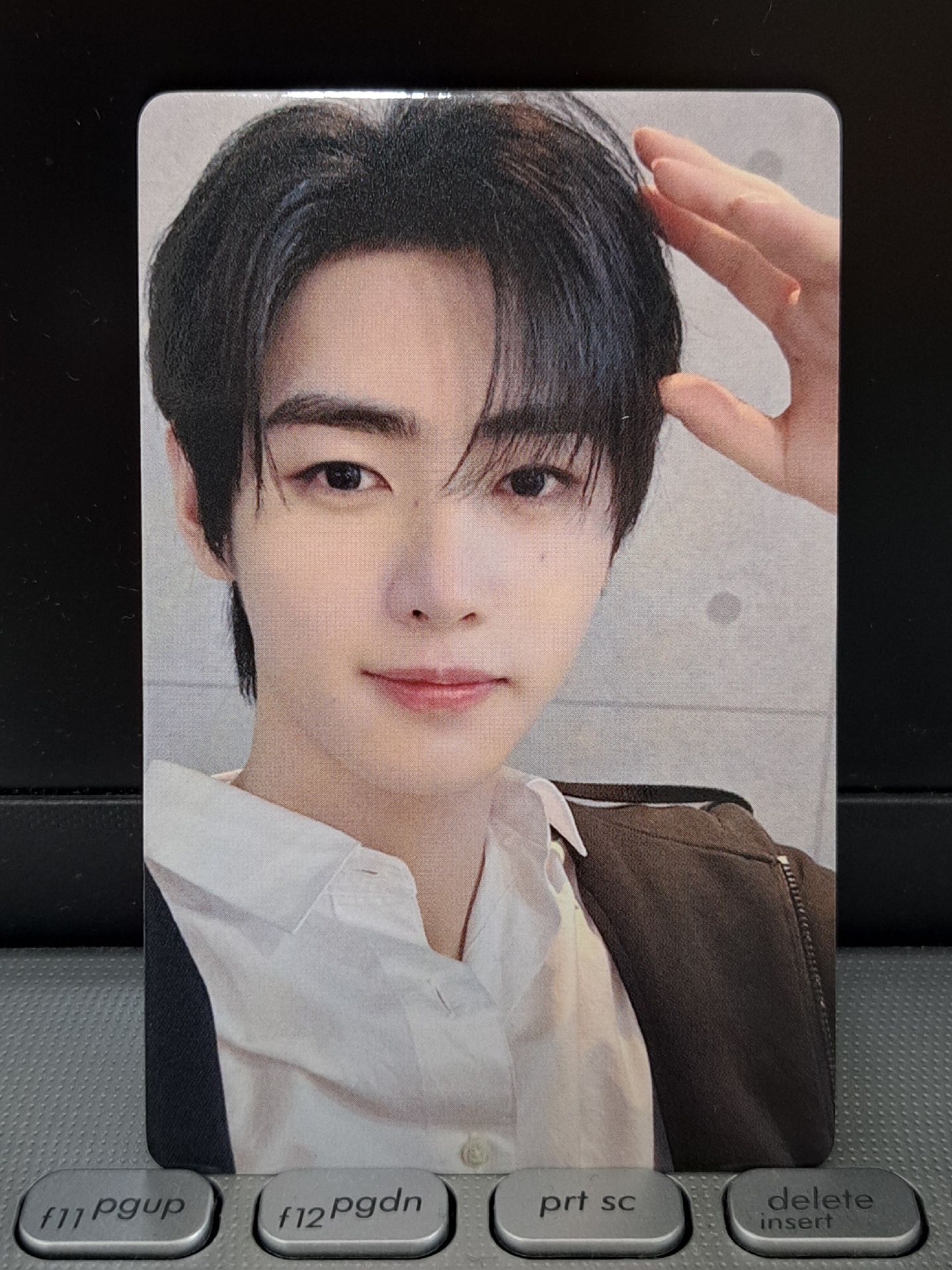 yzy 語音卡 狗耳訓