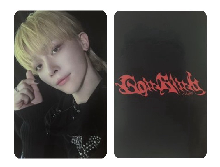 &team 月狼 NICHOLAS