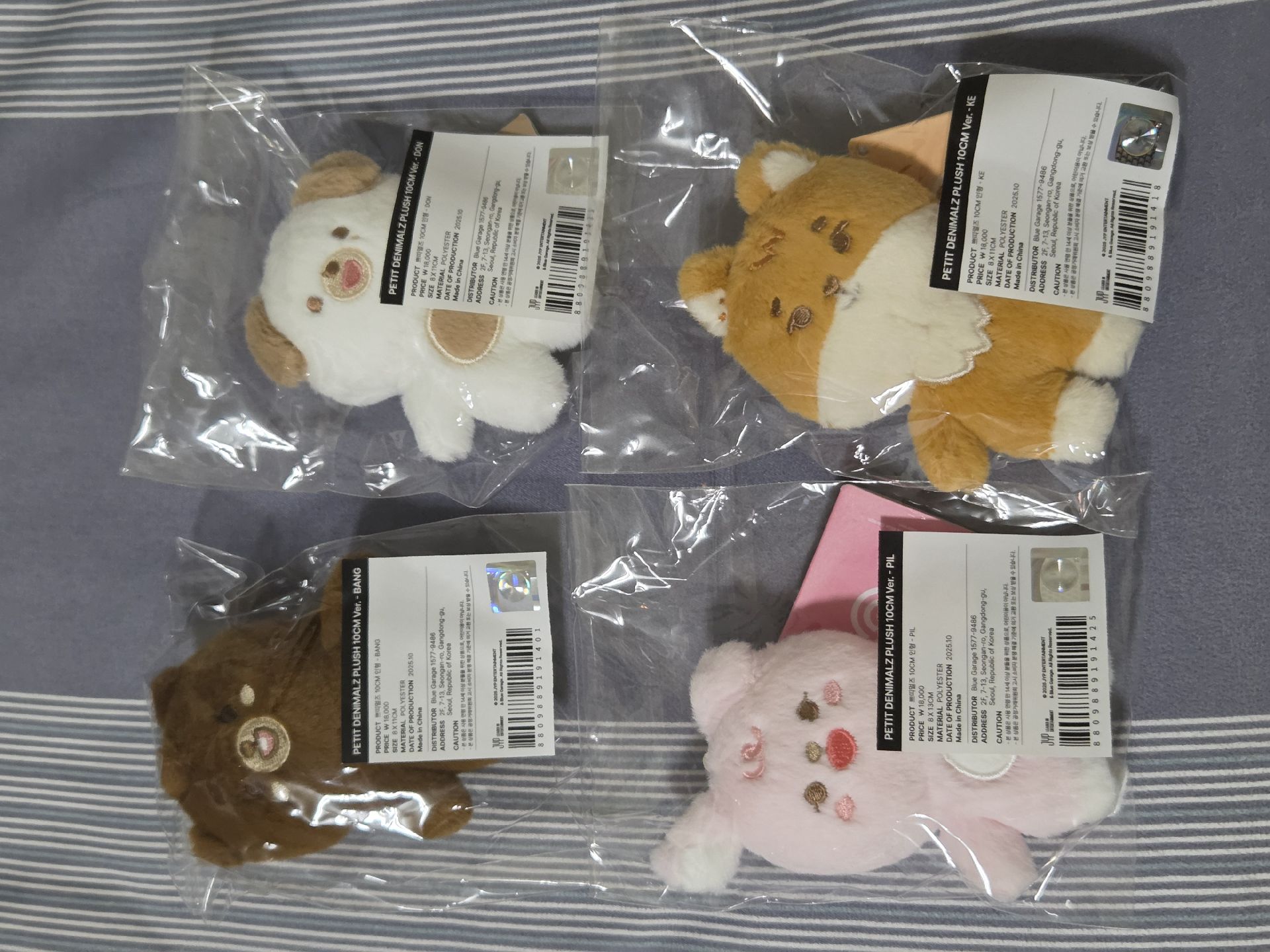 10cm們