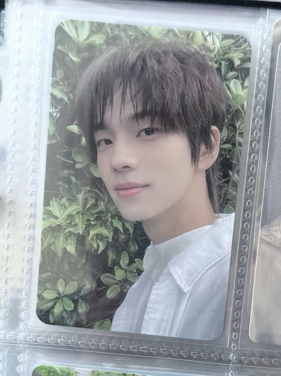 申惟迷一外景卡三張