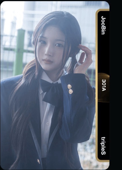 JooBin AA301 未掃
