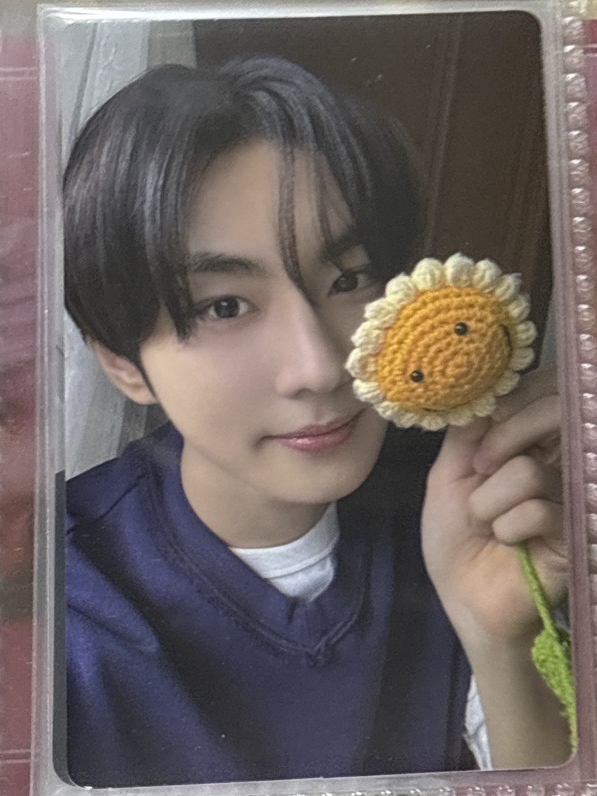向日葵元🌻