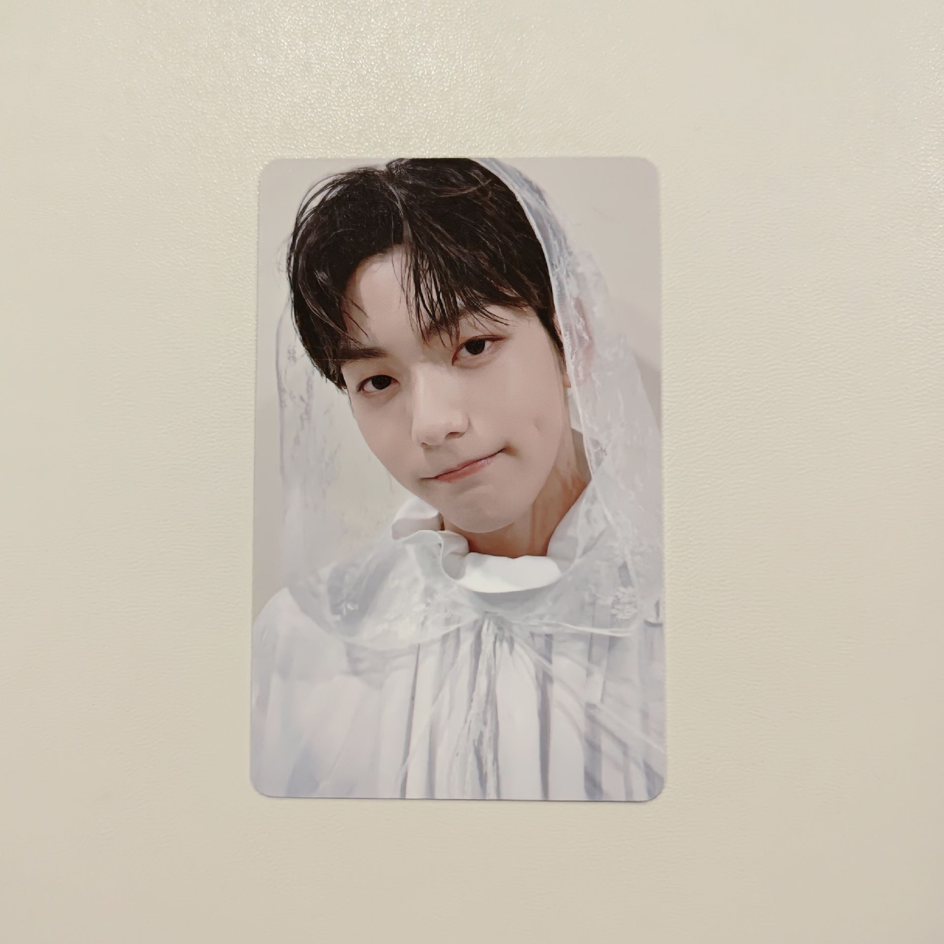 21回憶錄 新娘彬