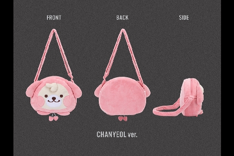 [預購]手燈包 Yeol Doenggge