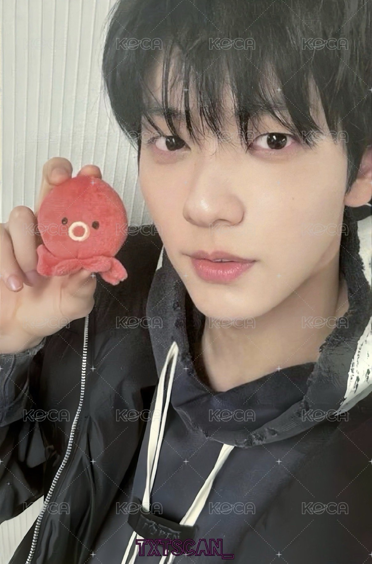 日限 章魚彬🐙