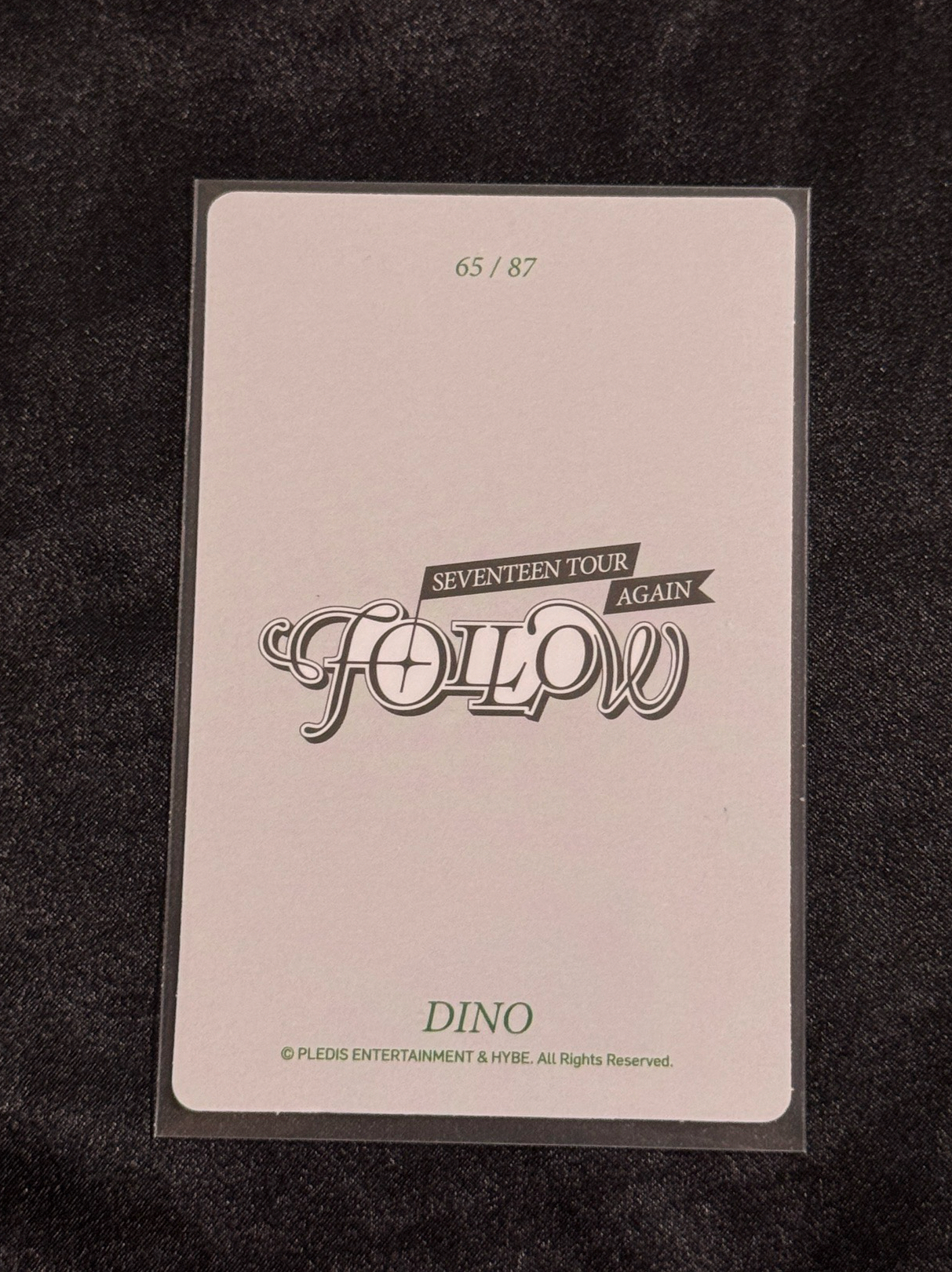 Dino Follow again 隨機卡