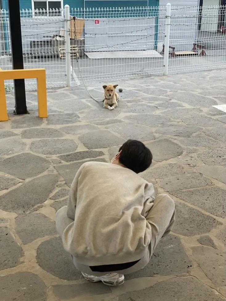 yy