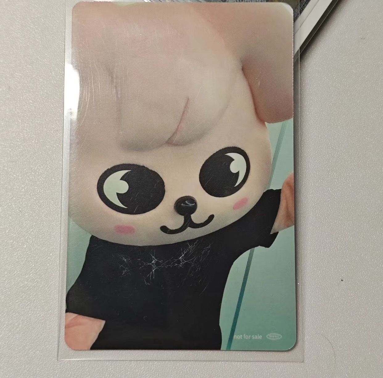 哎呀是小狗.ᐟ.ᐟ塔店玟 帕皮🐶✨