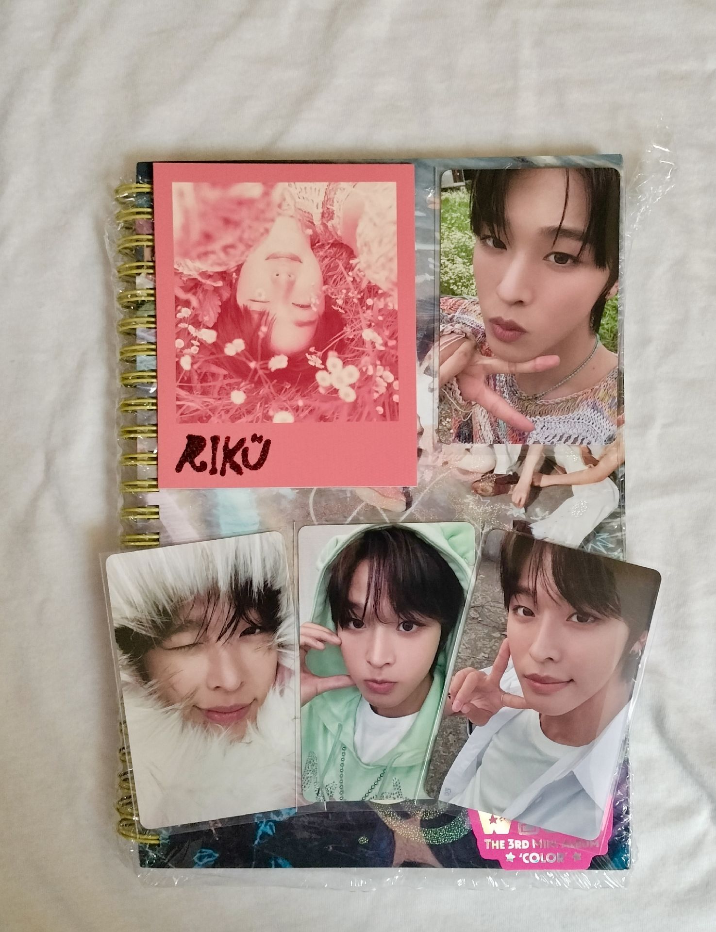 Color🐈‍⬛陸全專畢業🐹✨~