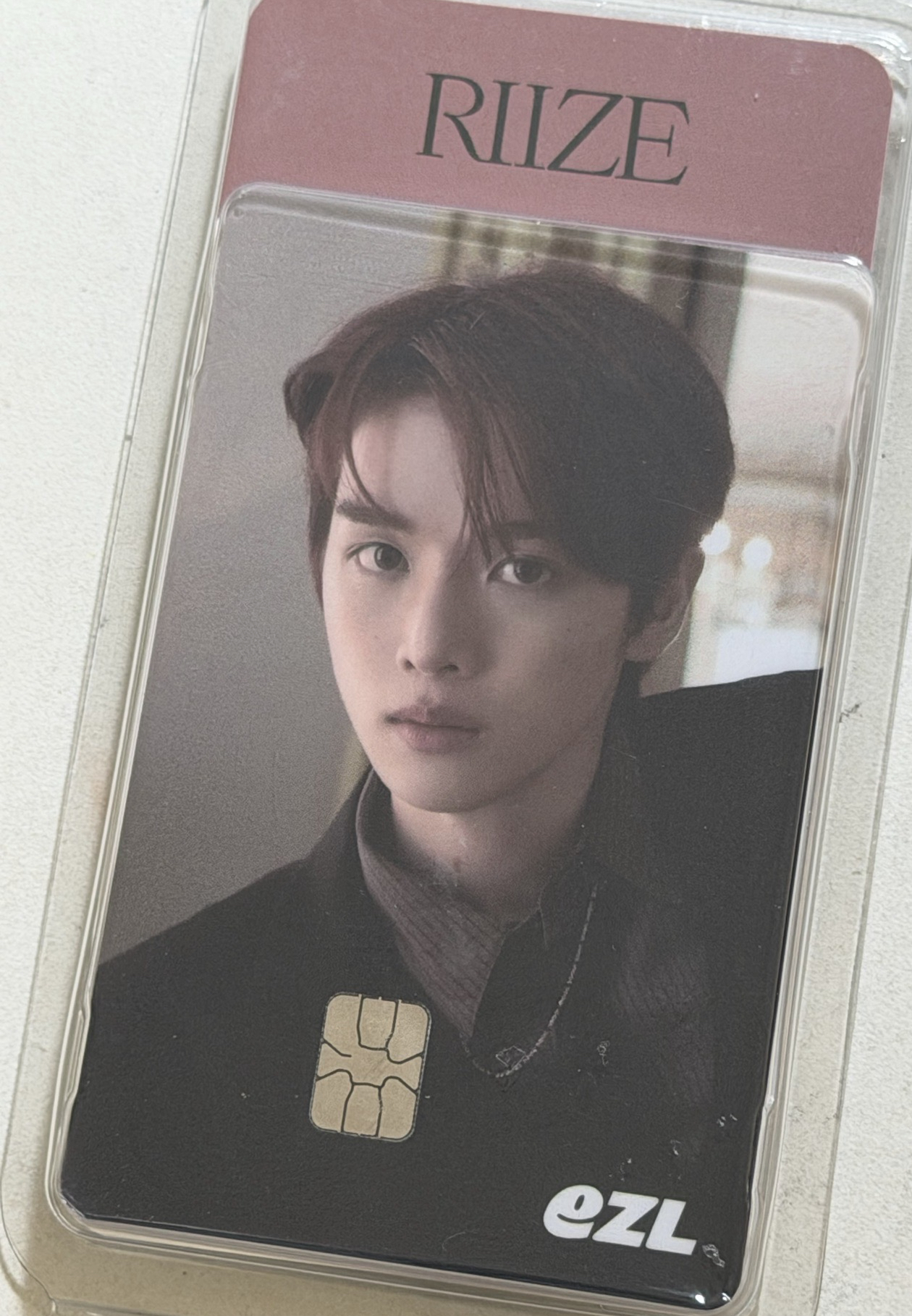 🖤全新ezl燦交通卡 含圖鑑