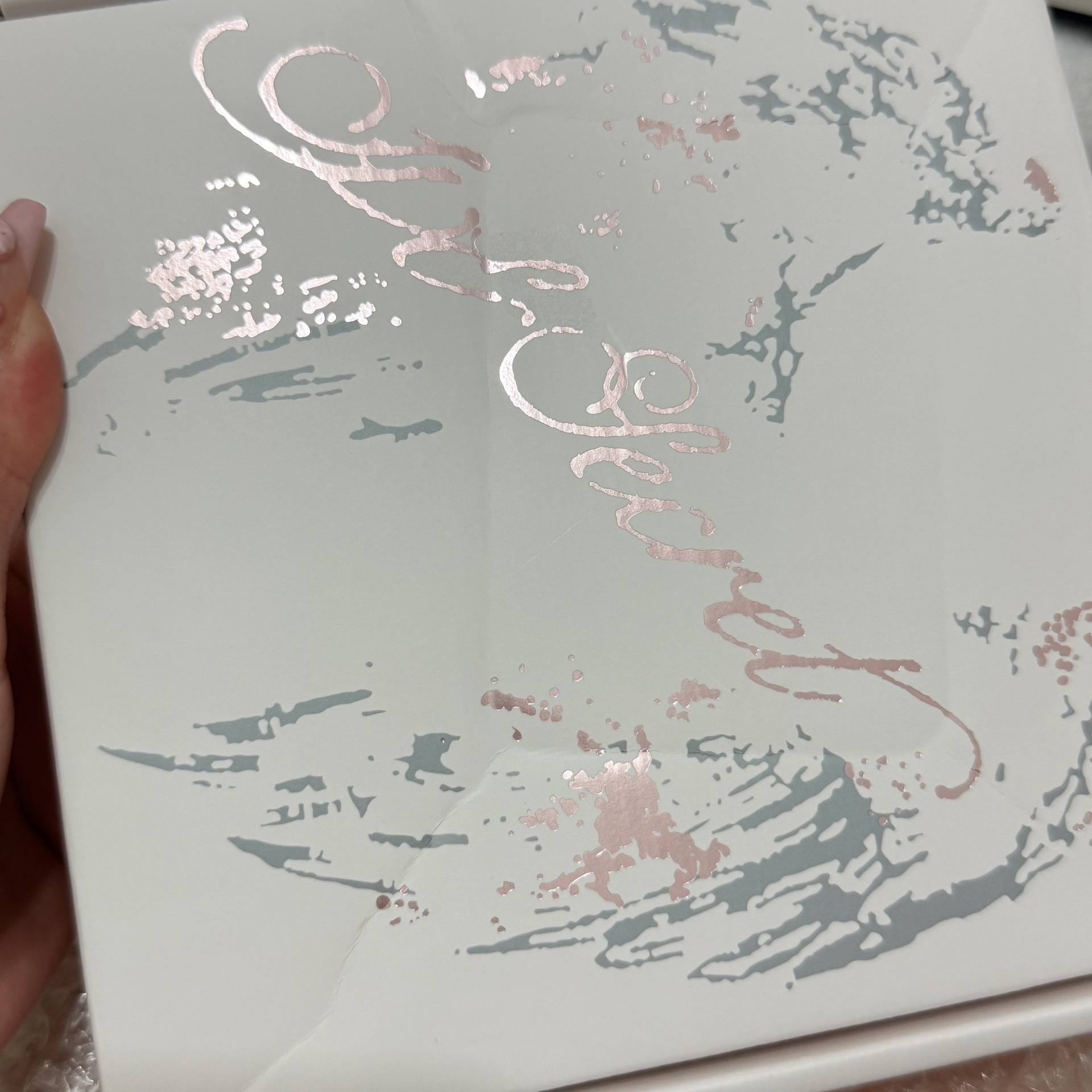 mini4 特別版 安全專