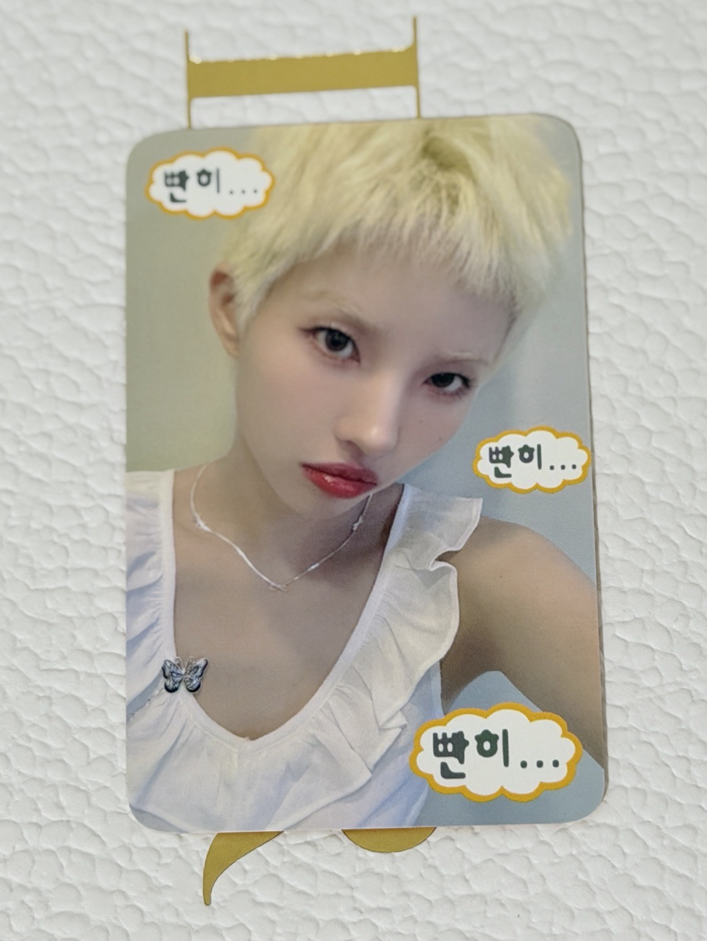 i-dle 小娟 楠藝 凝視