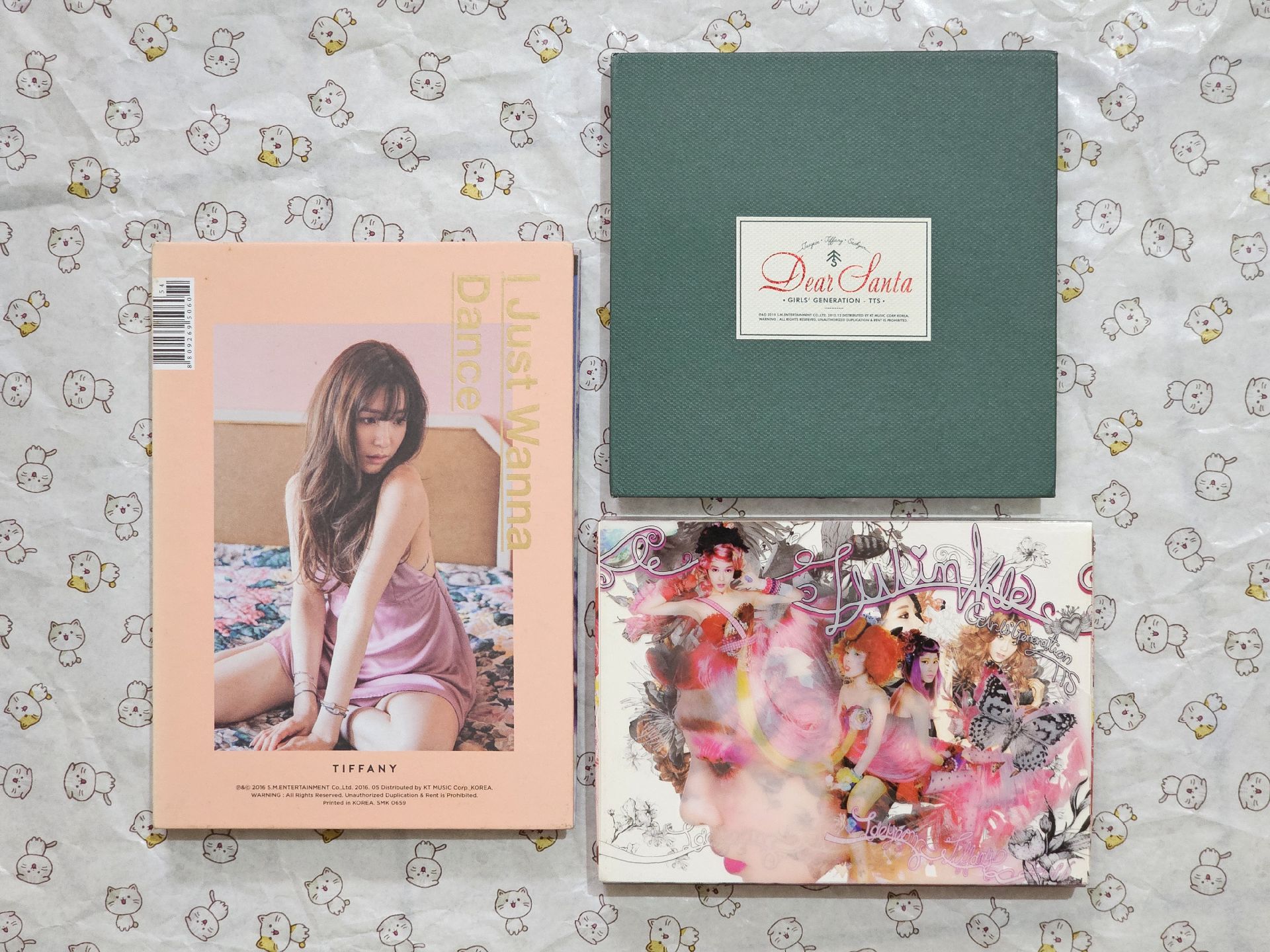 帕尼、TTS小分隊空專