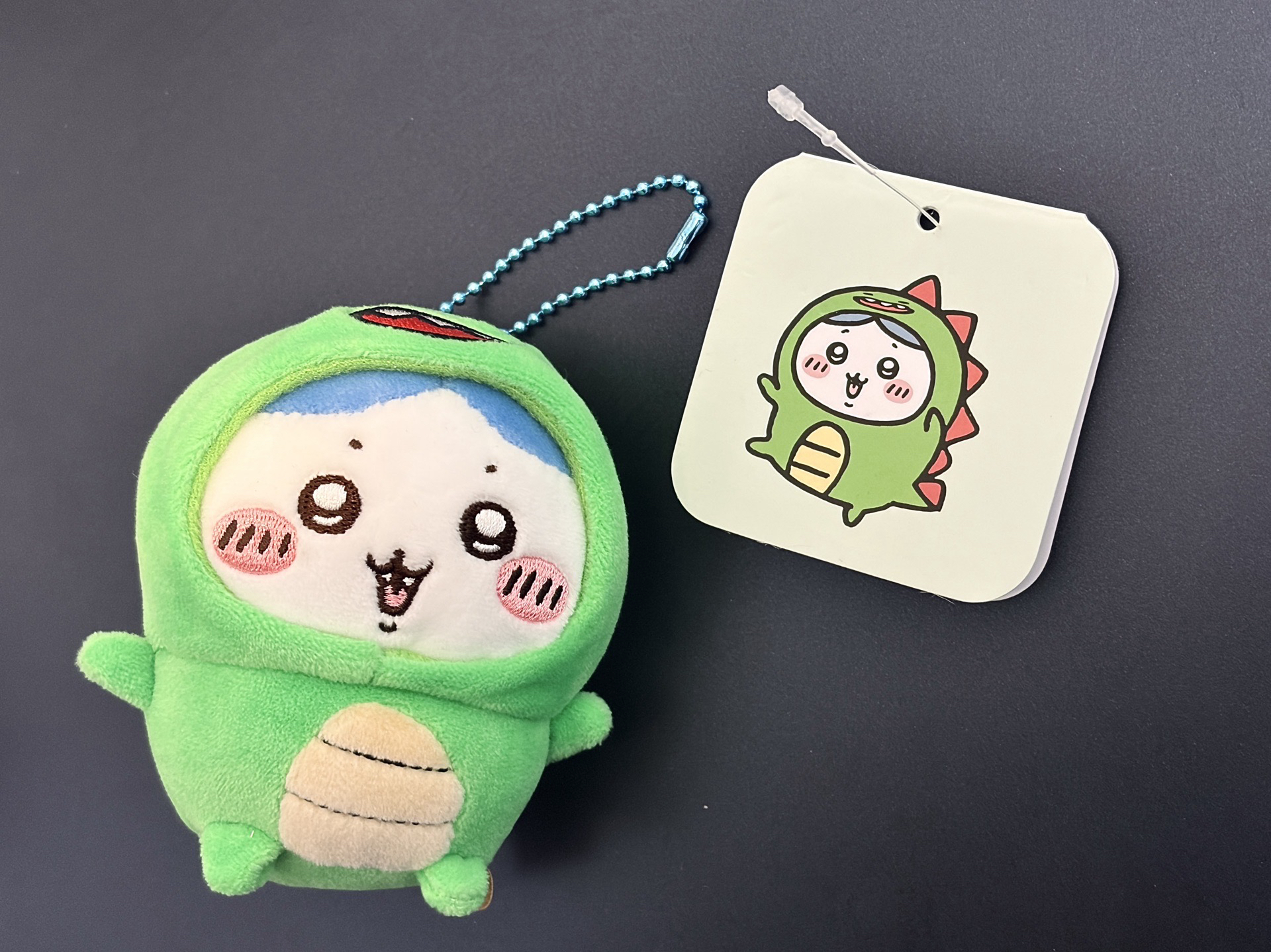 自嘲熊官網 恐龍小八🦕